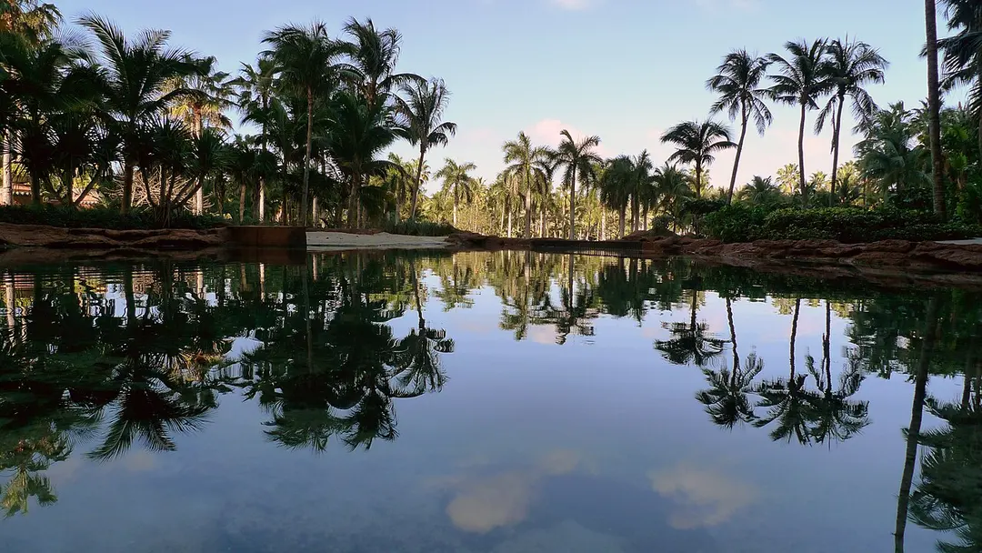 Atlantis Paradise Island