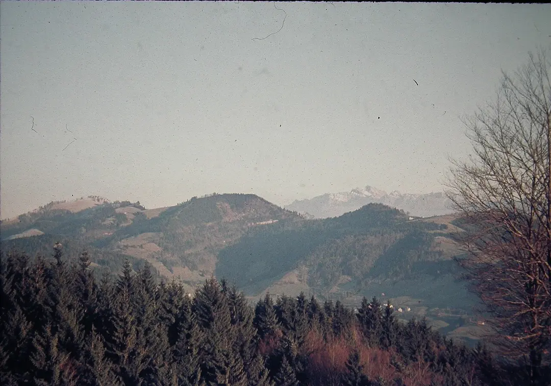 Bachtel