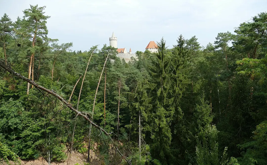 Kokořín