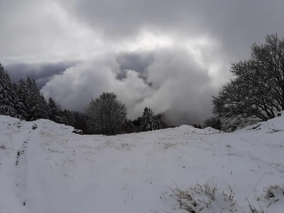 Belchen