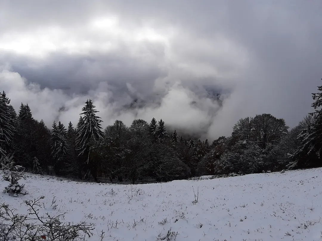 Belchen