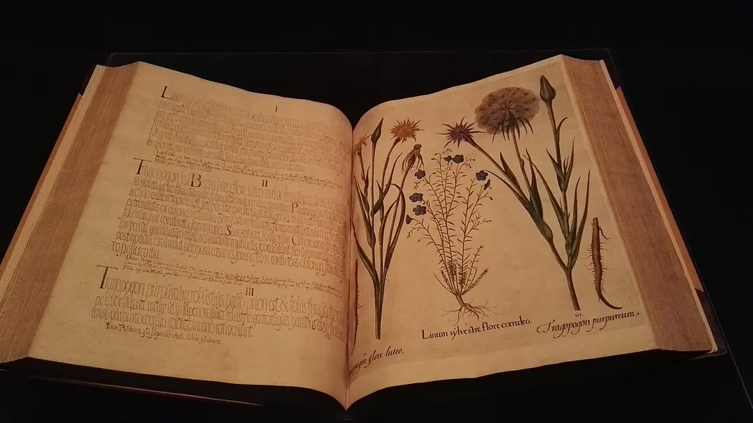 Buchmuseum der SLUB Dresden