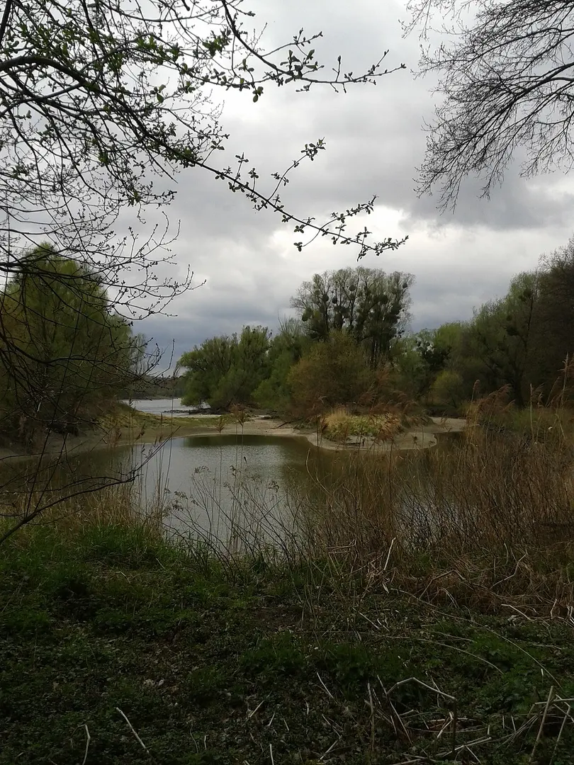 Donau-Auen National Park