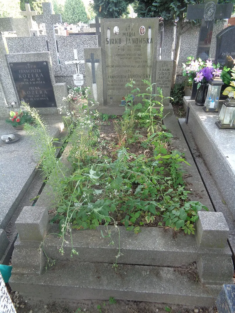 Neuer Friedhof in Służew