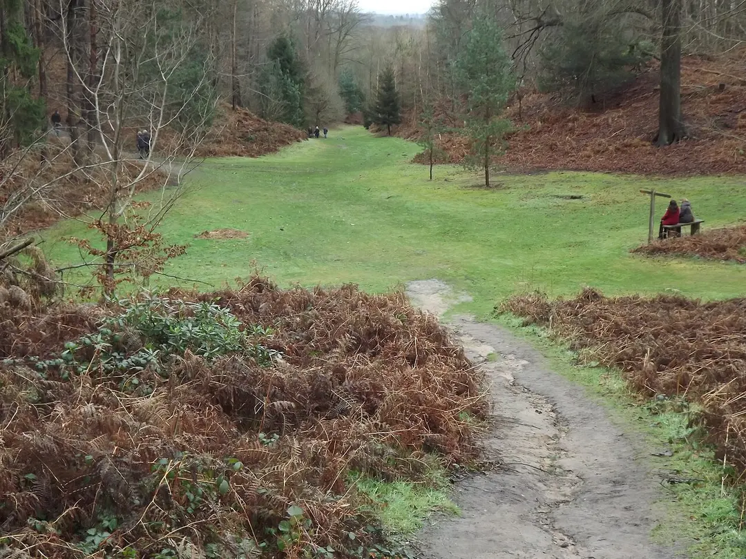 Painshill