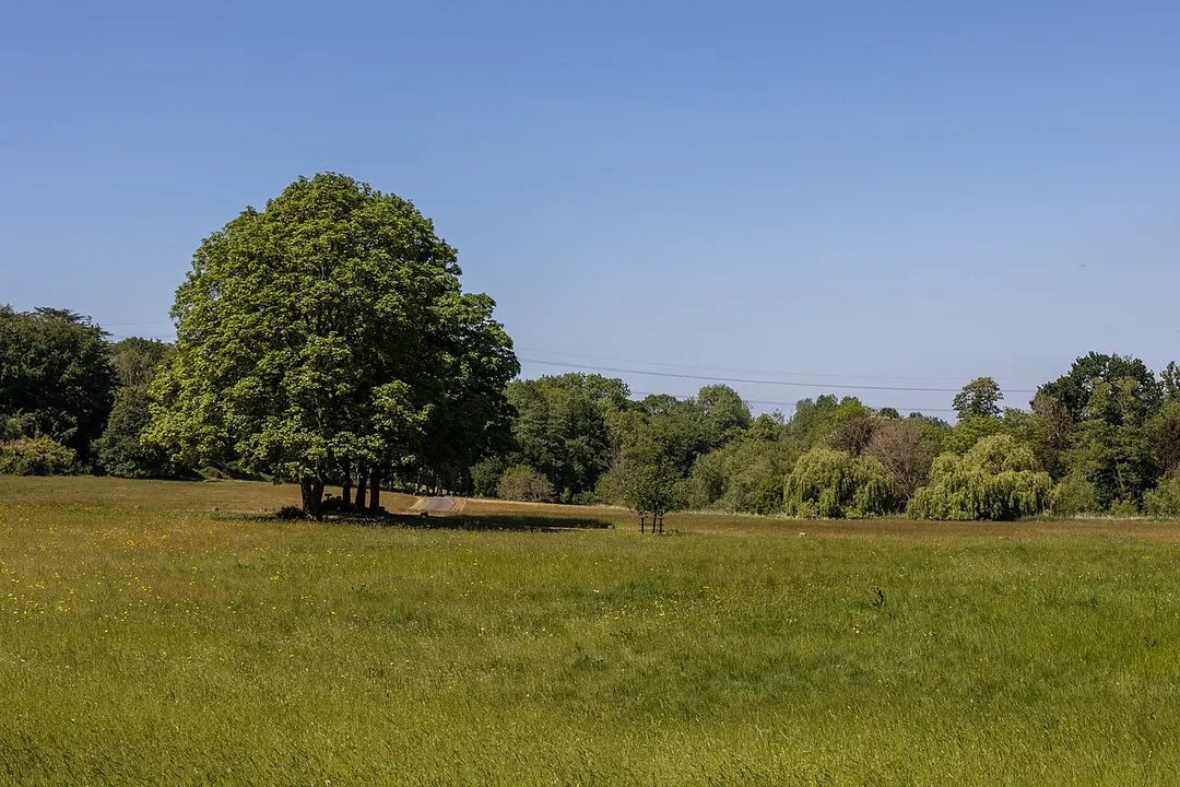 Painshill