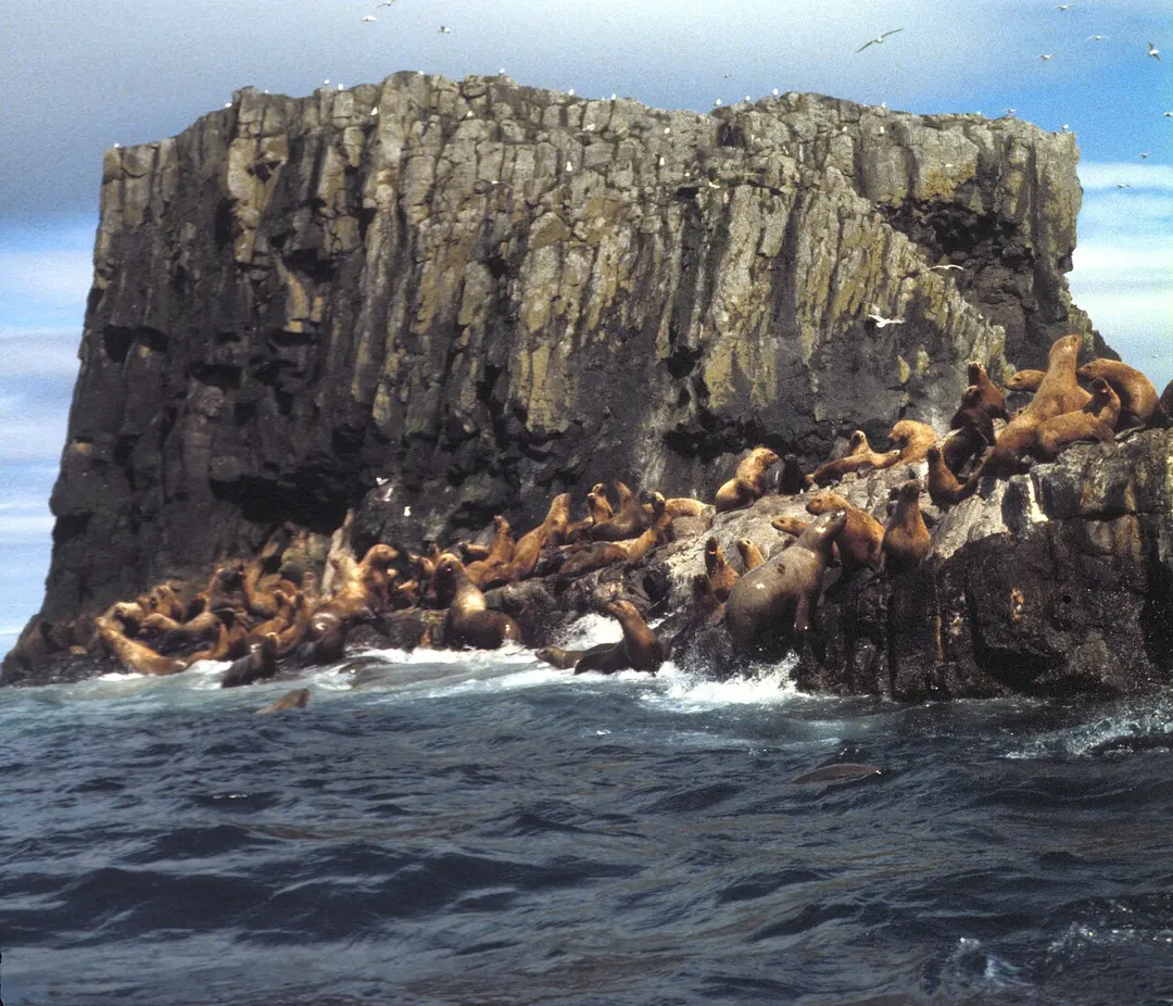 Alaska Maritime National Wildlife Refuge