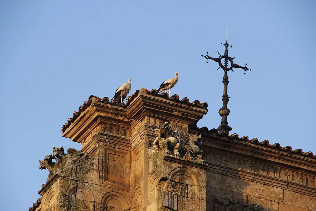 Colegio Mayor de Santiago el Zebedeo