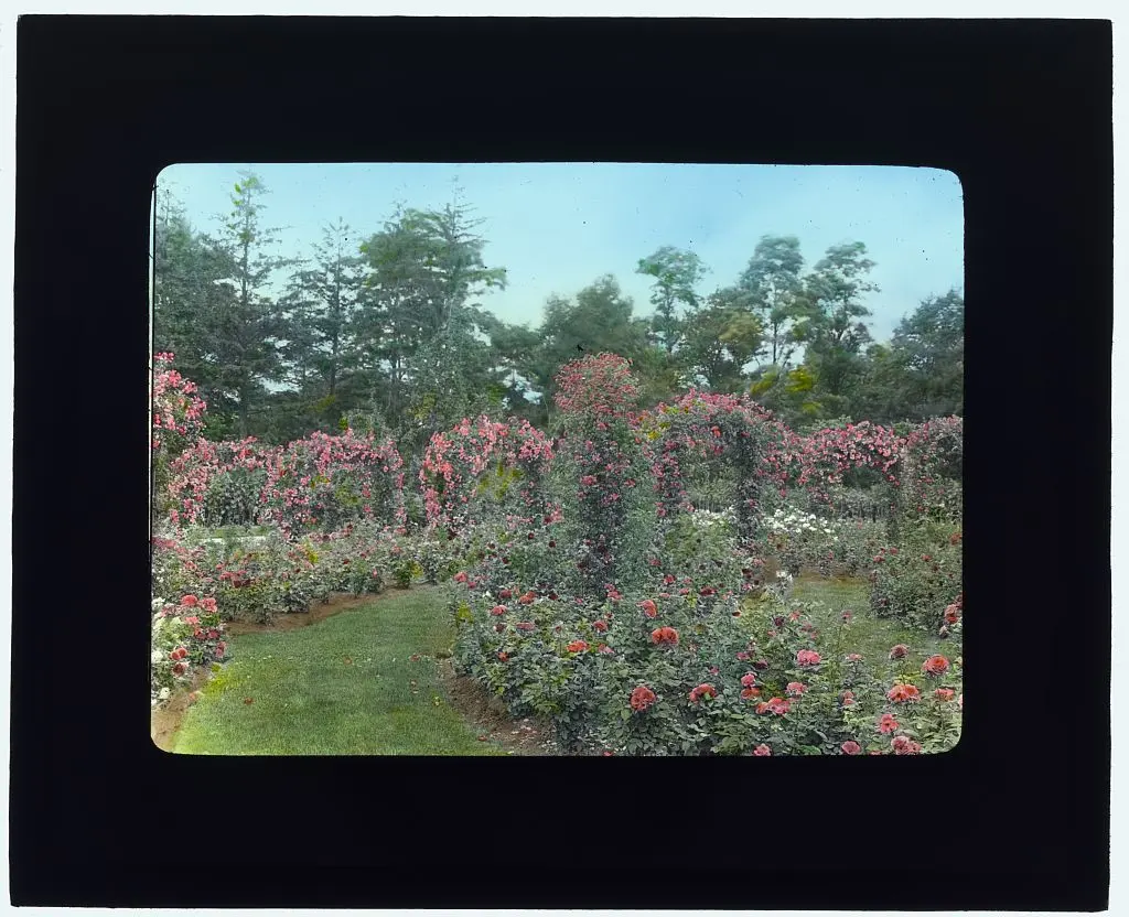 Lyndhurst Mansion