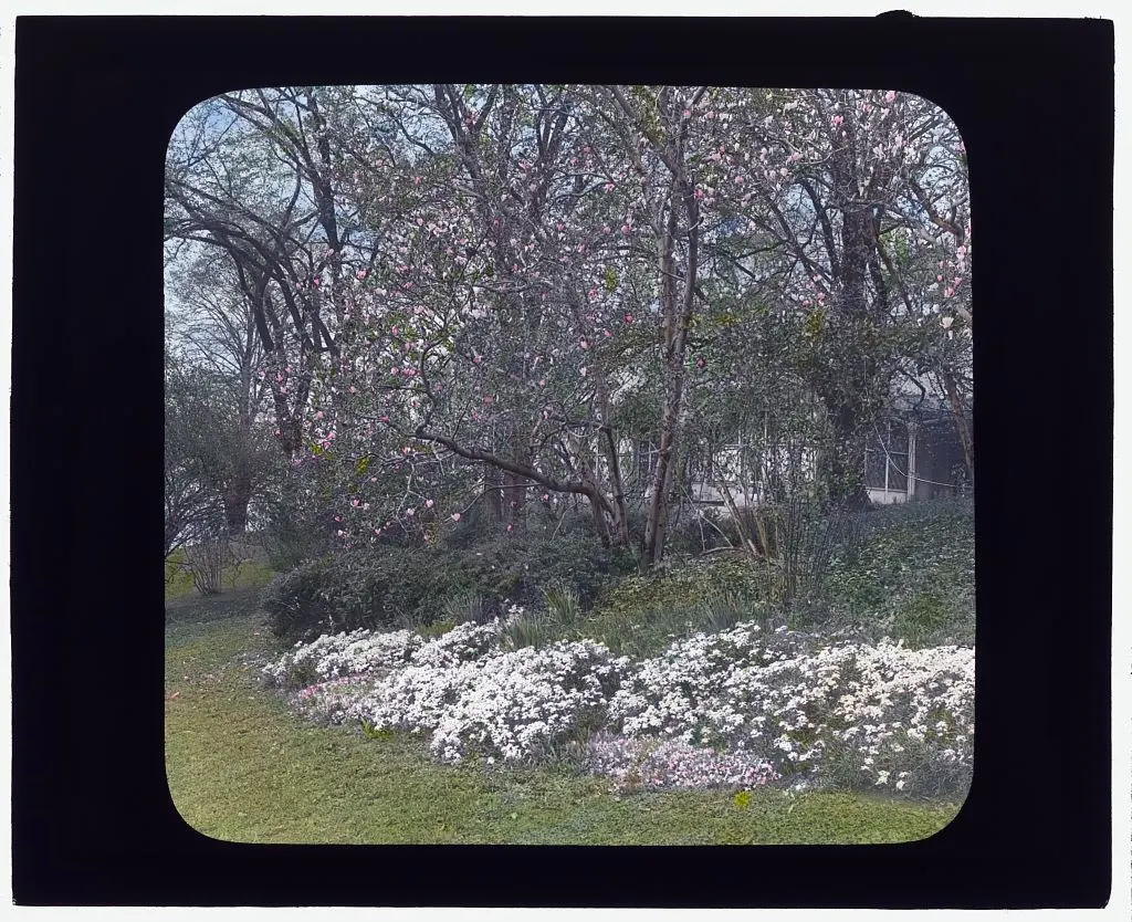 Lyndhurst Mansion