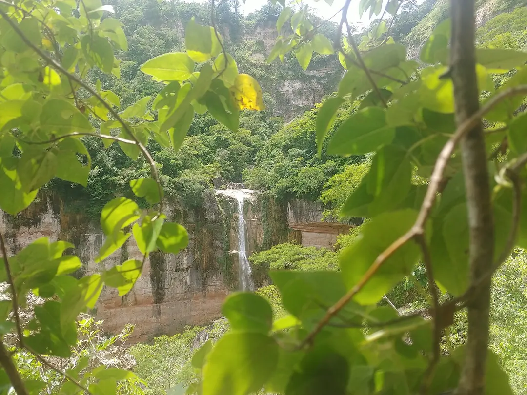Área Natural de Manejo Integrado Amboró