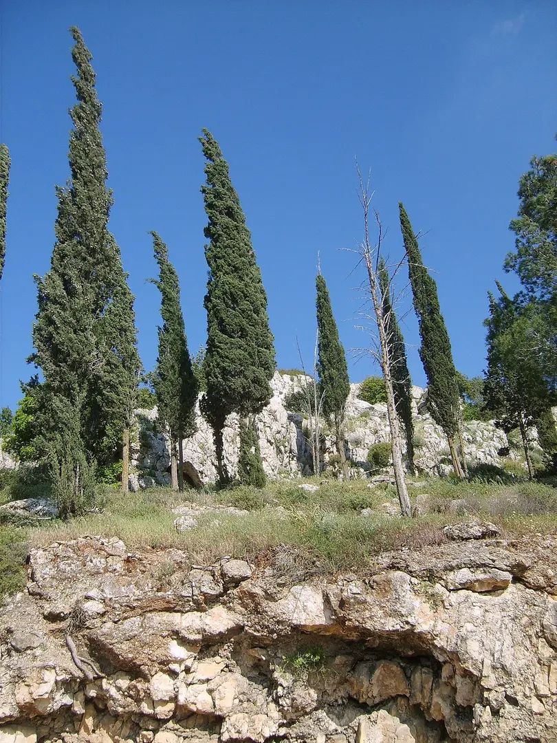 Berg Tabor