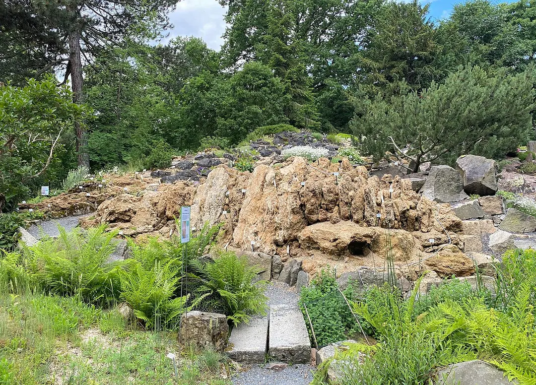 Botanischer Garten