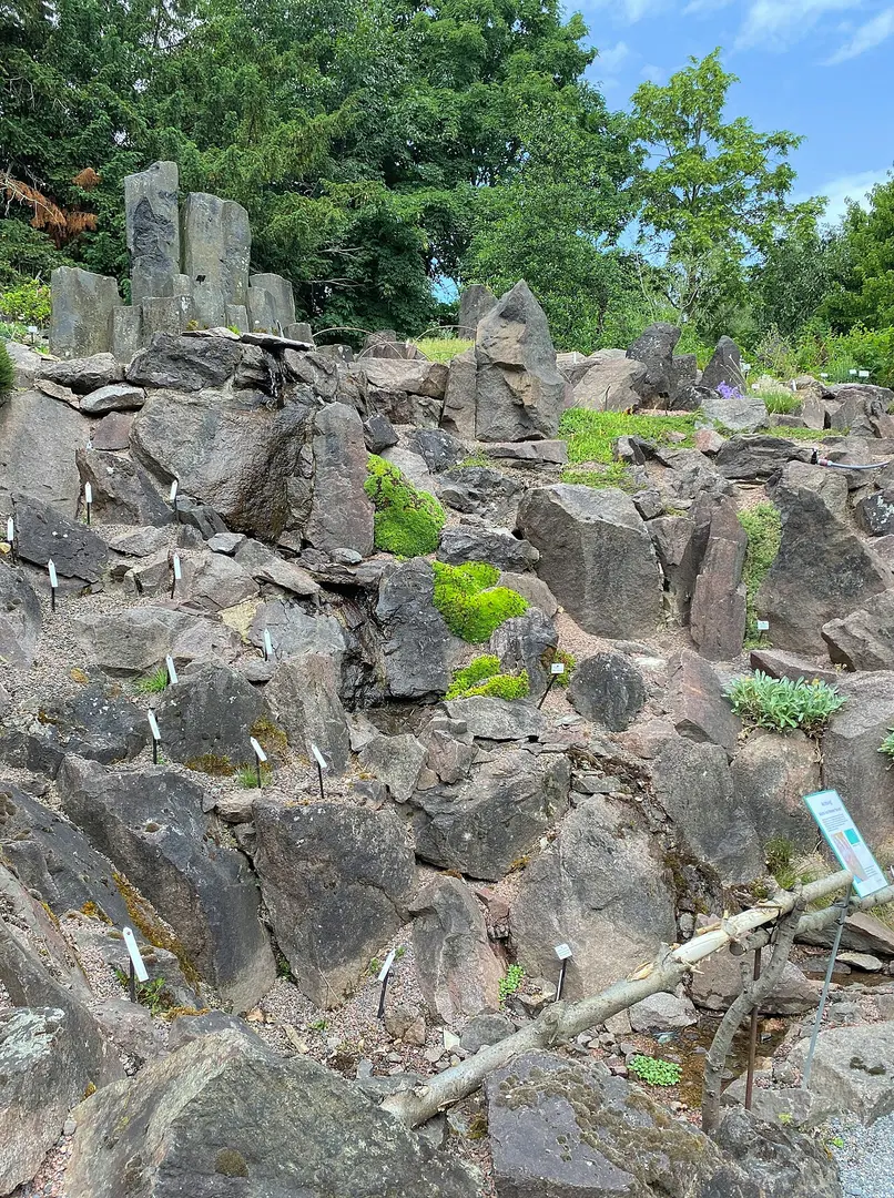 Botanischer Garten