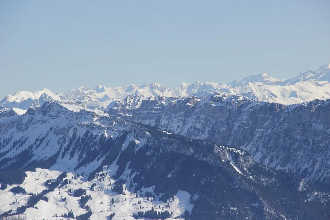Burgfeldstand