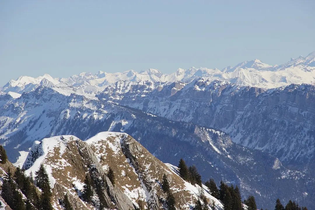Burgfeldstand