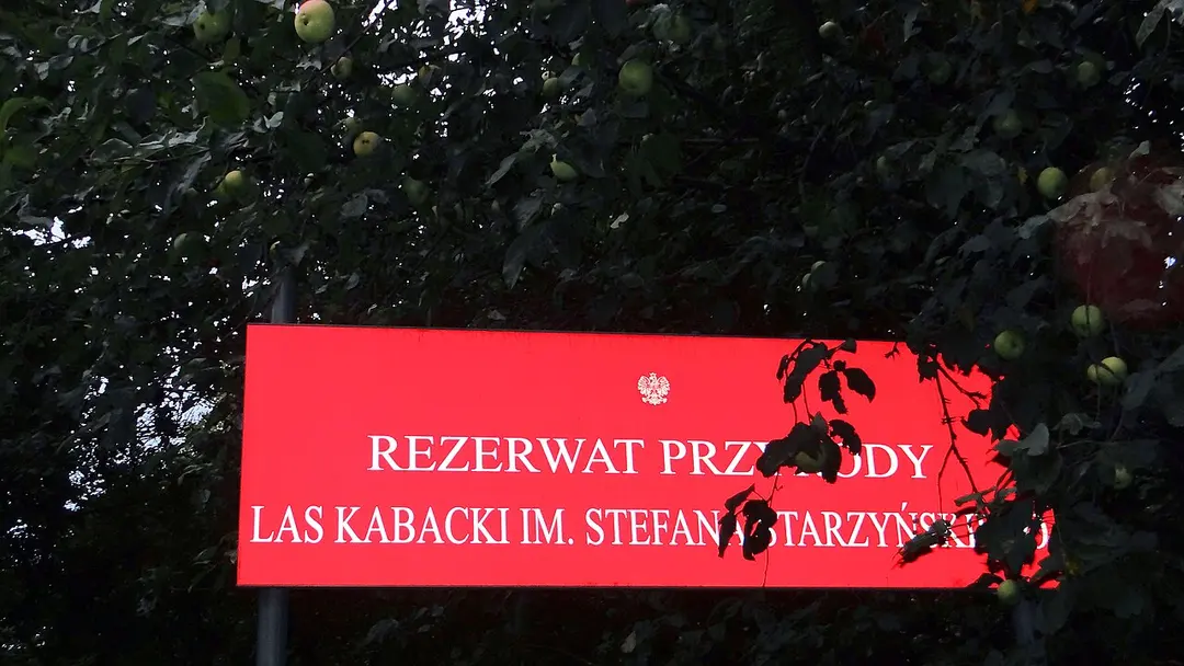 Kabaty-Wald