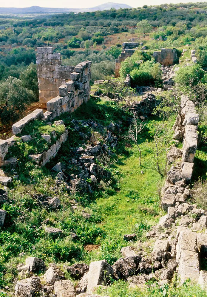Al-Bara