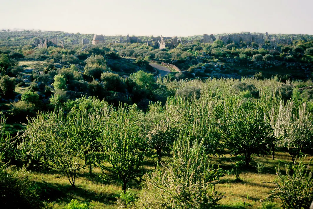 Al-Bara
