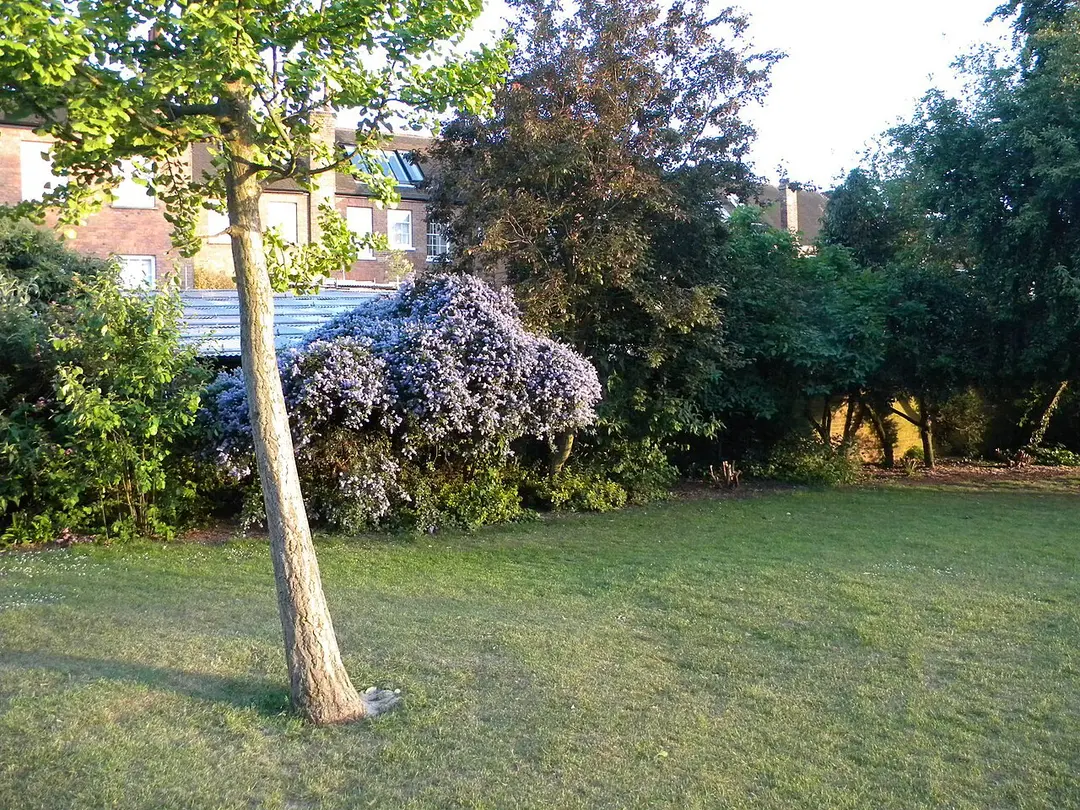 Ladbroke Square