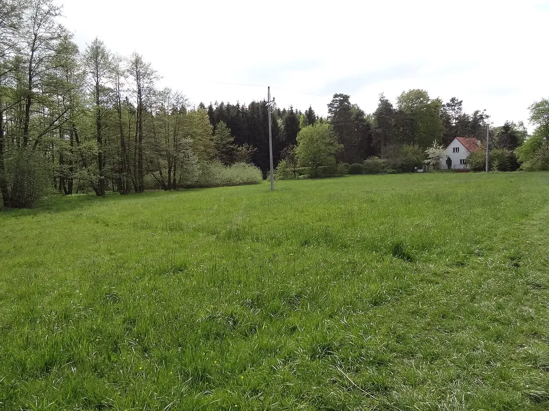 Skalsko