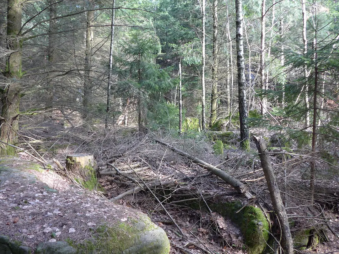 Heuberg