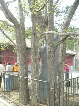 敕建大觉禅寺