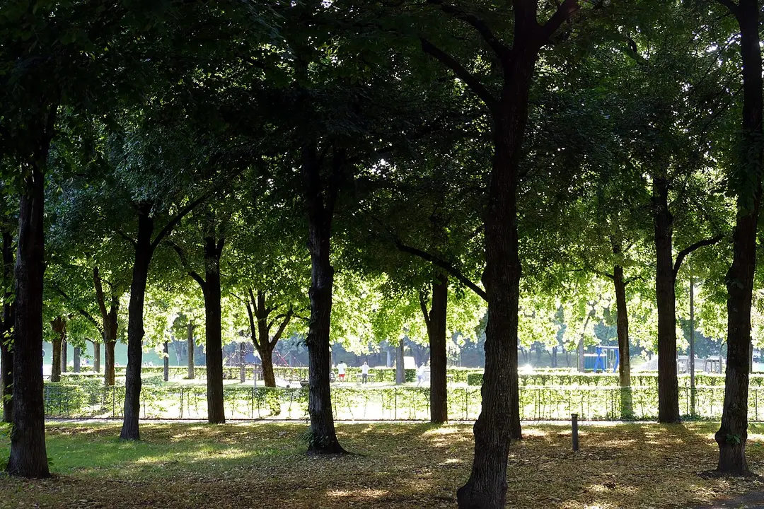 Theresienwiese