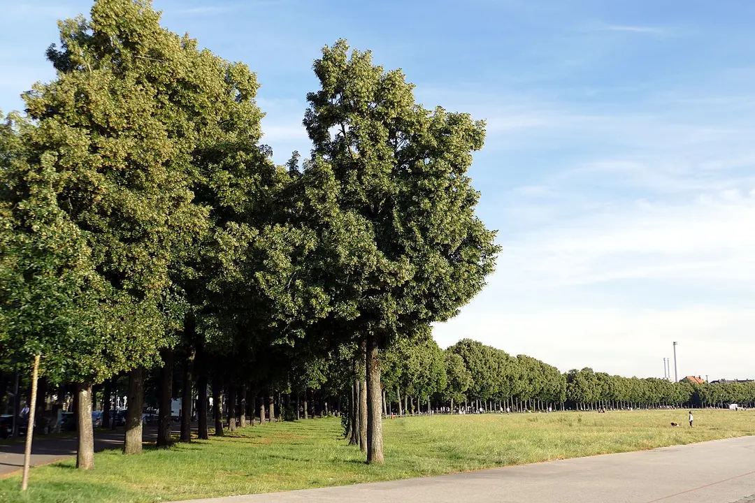 Theresienwiese