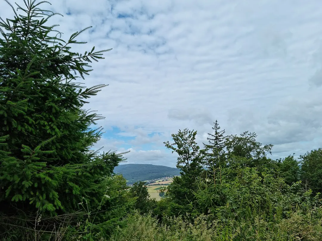 Altenburg