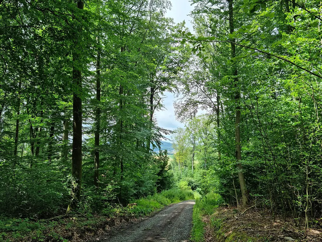 Altenburg