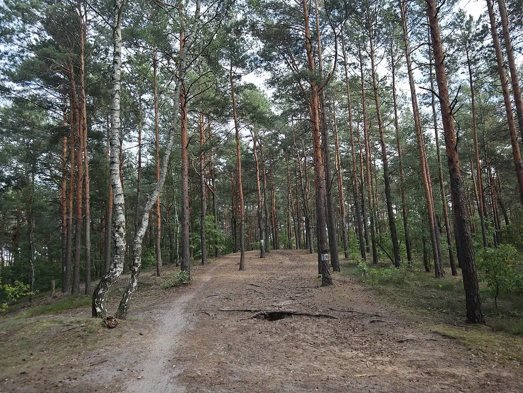 Landschaftsschutzpark Masowien