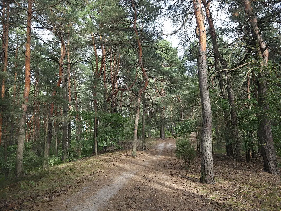 Landschaftsschutzpark Masowien