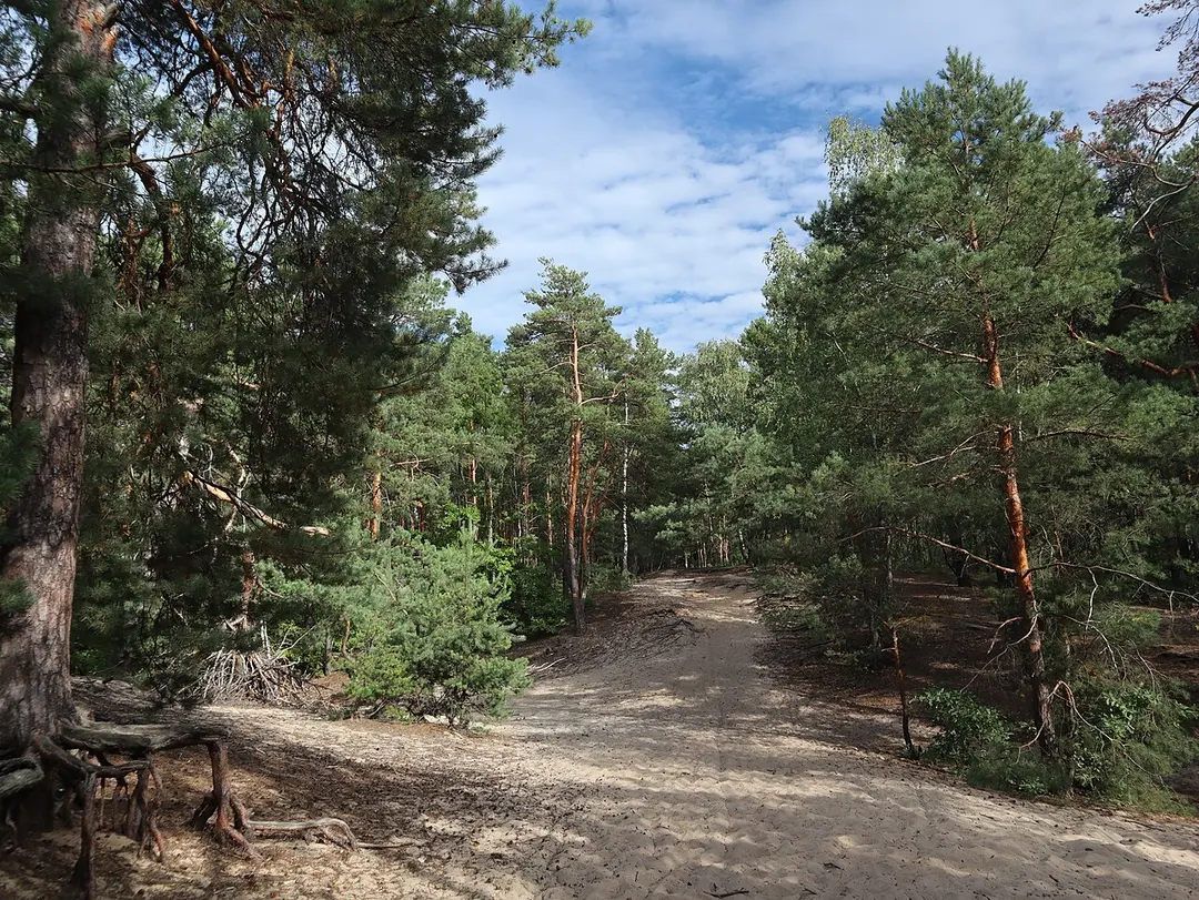 Landschaftsschutzpark Masowien