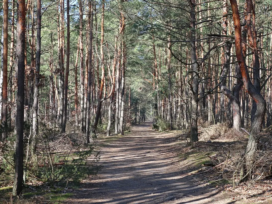 Landschaftsschutzpark Masowien