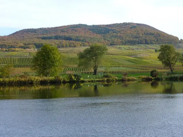 Mesenich