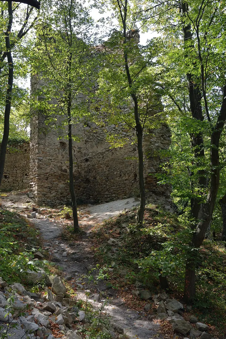 Burg Biely Kameň