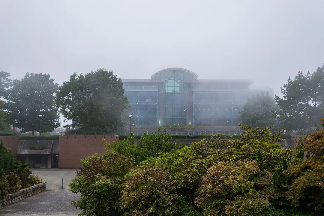 Walter C. Koerner Library