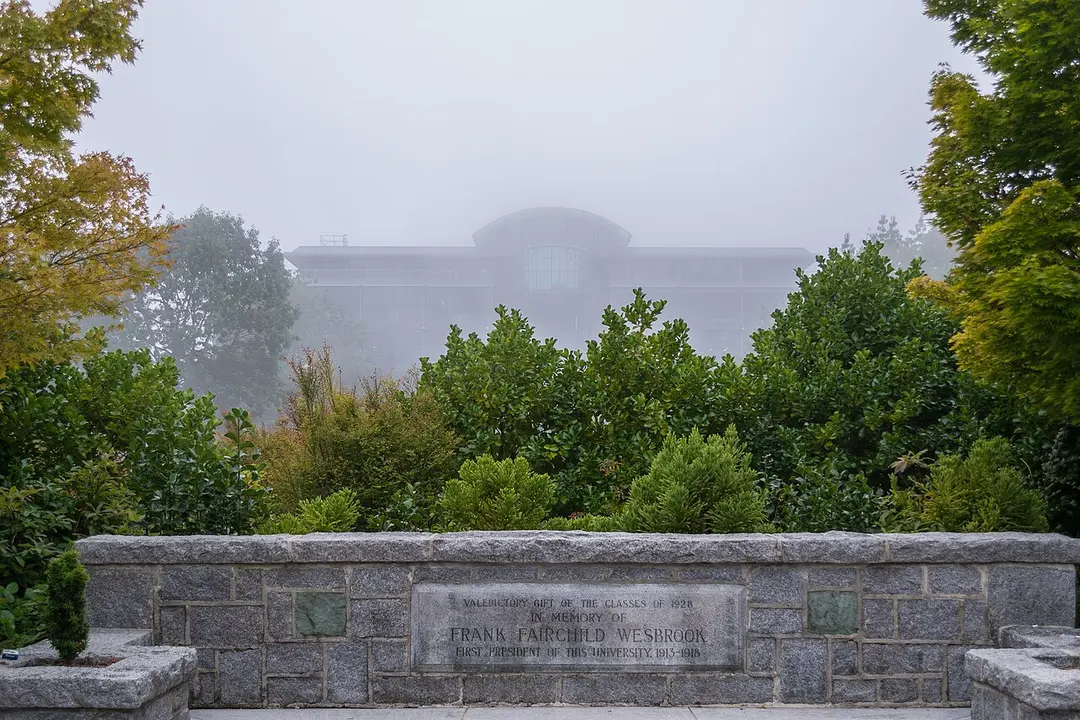 Walter C. Koerner Library