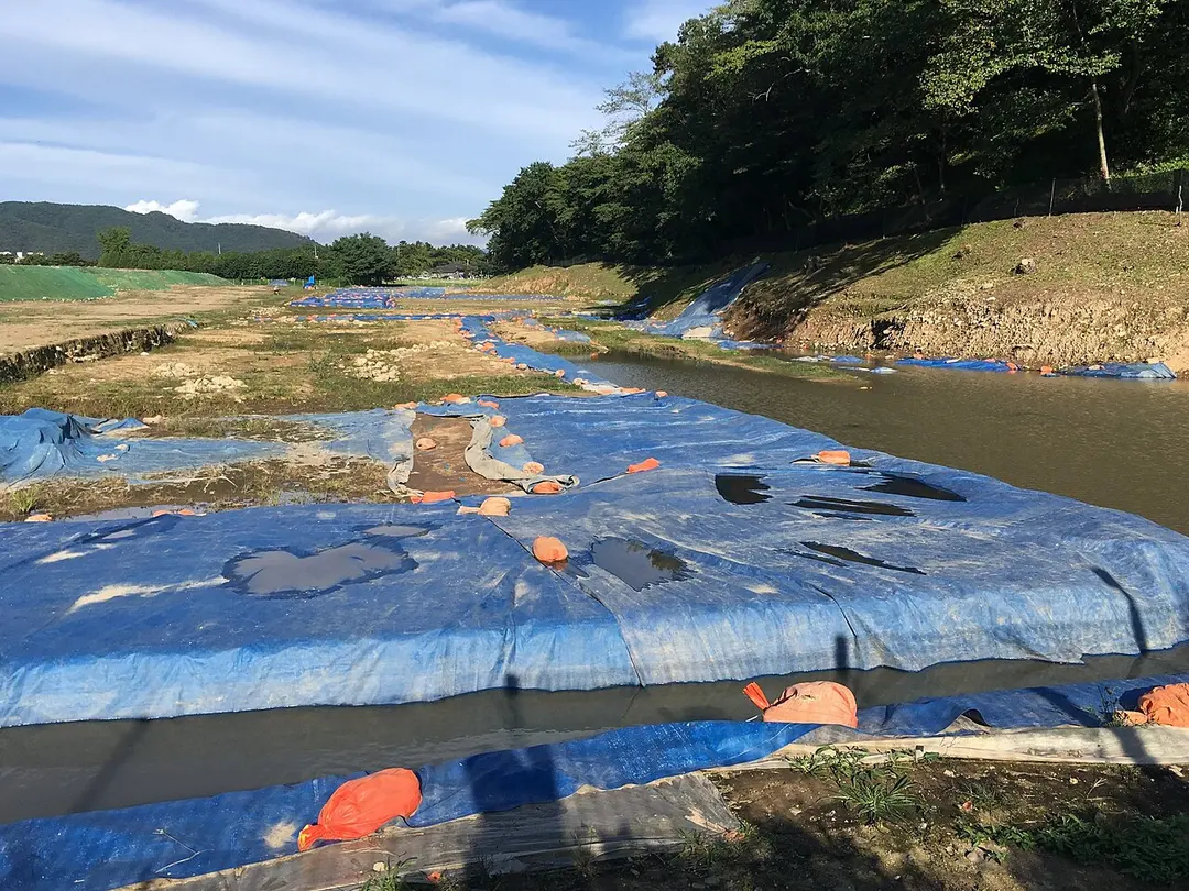 Banwolseong