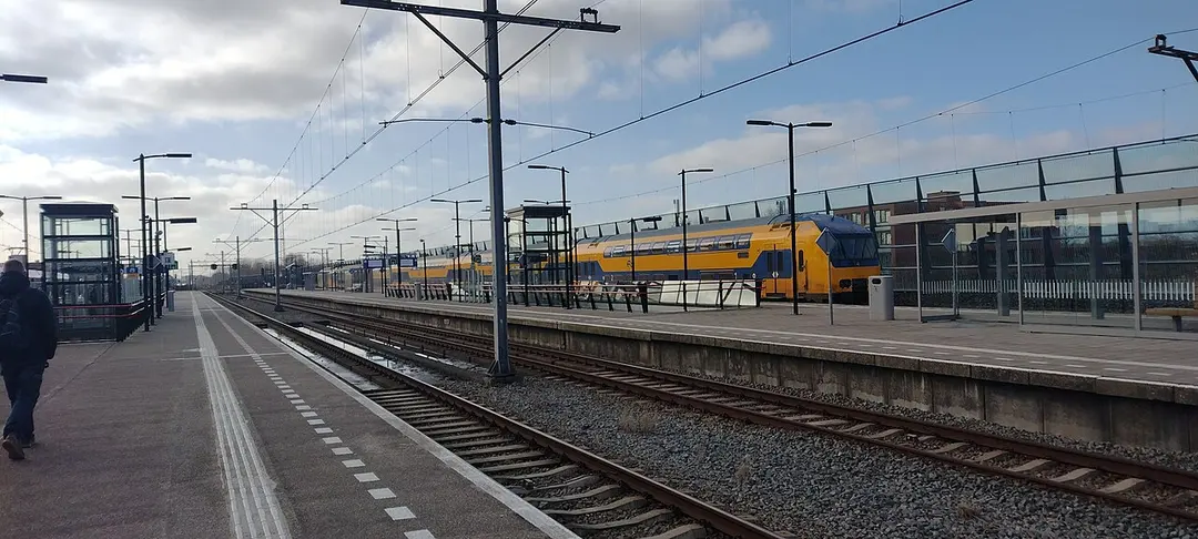 Almere Oostvaarders