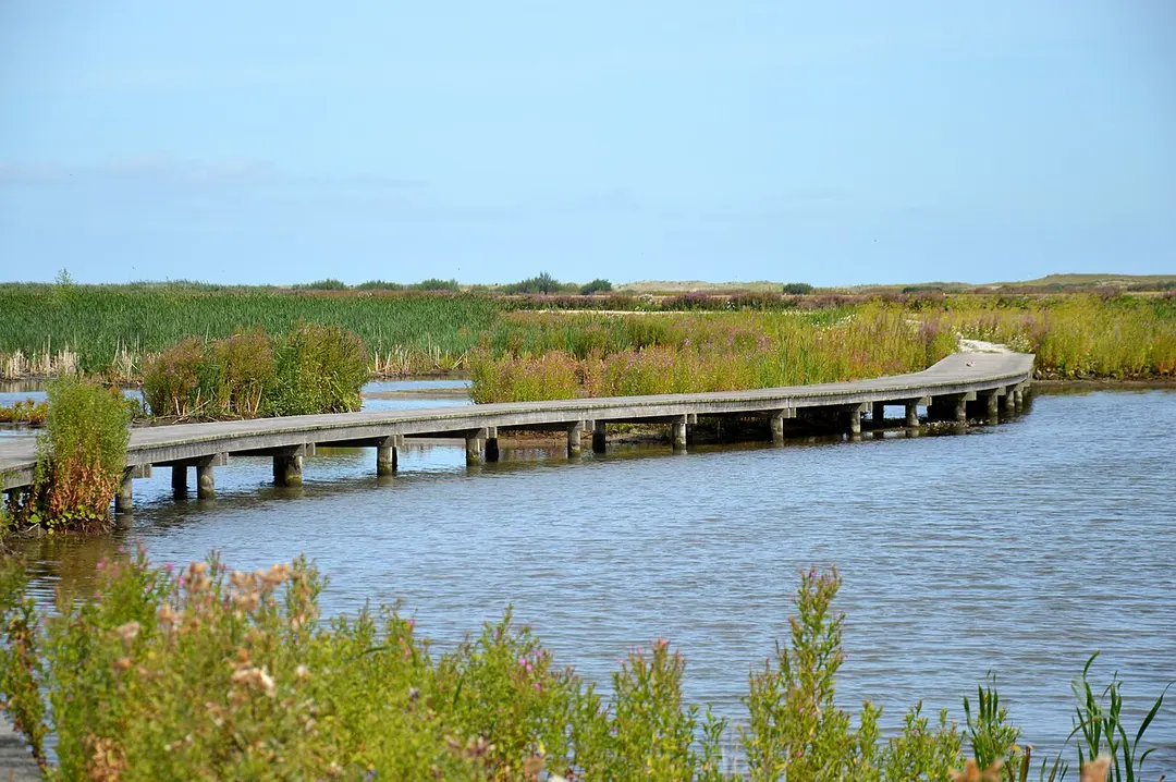 Marker Wadden