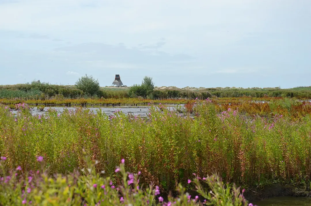 Marker Wadden