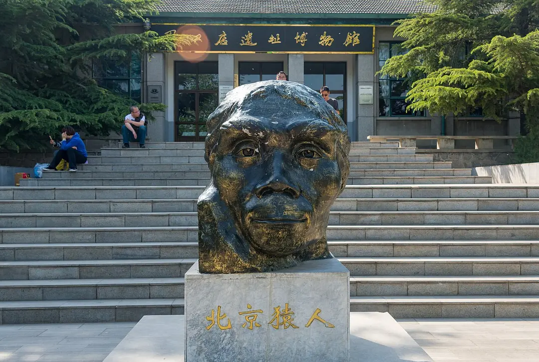 周口店
