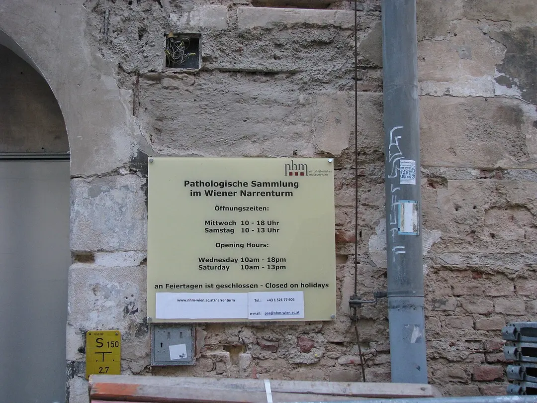 Narrenturm