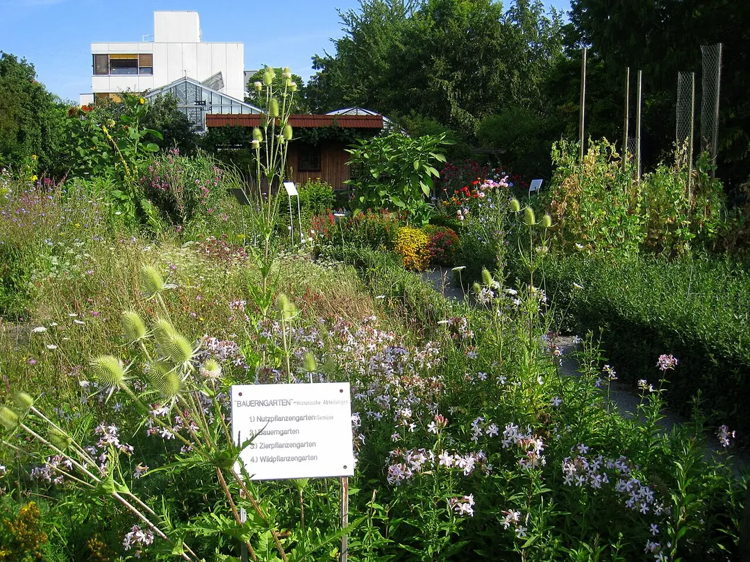 Botanischer Garten