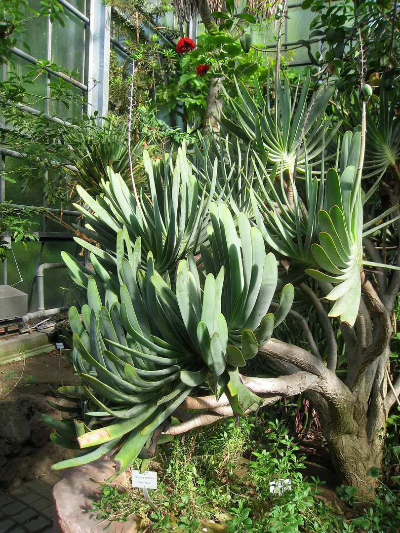 Botanischer Garten