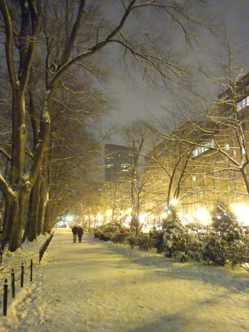 Boston Public Garden