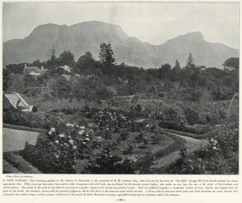 Arderne Gardens