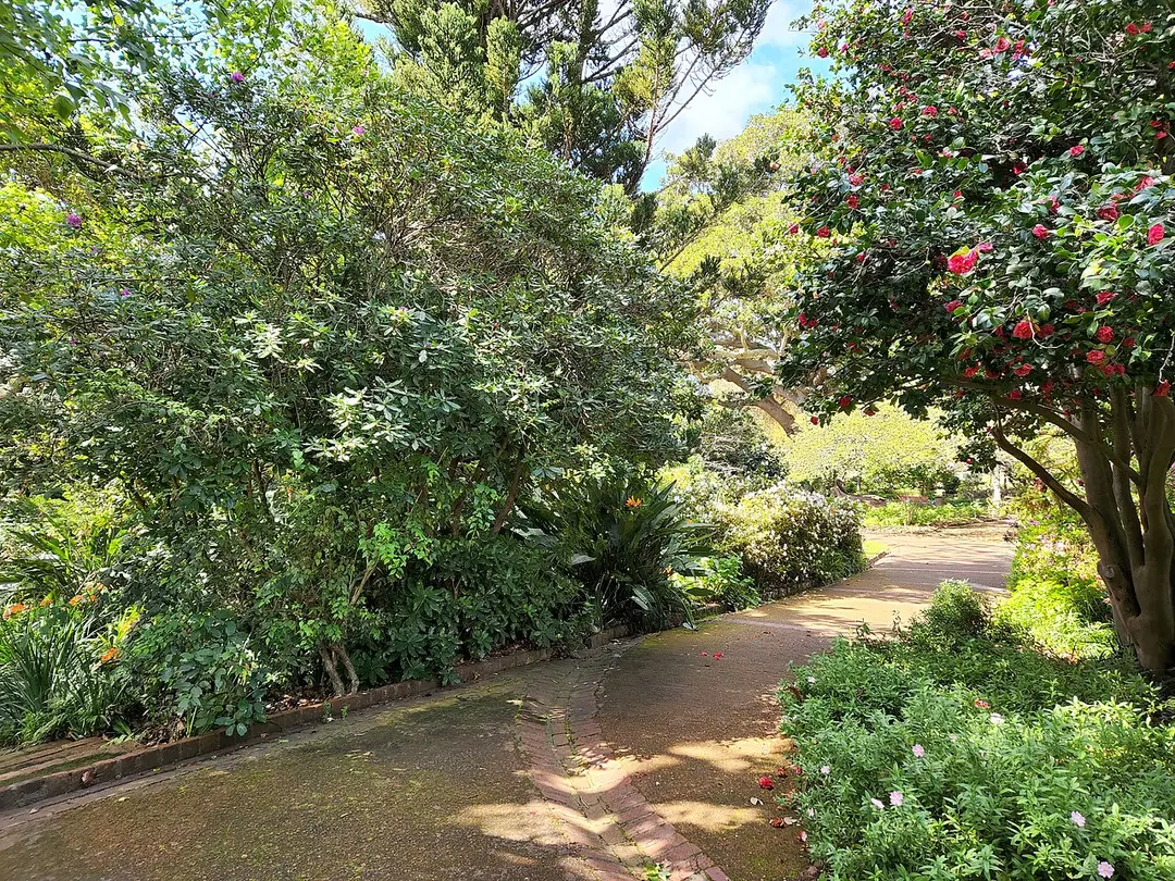 Arderne Gardens